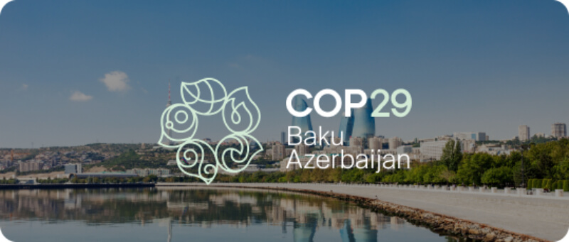 COP29 at Baku, Azerbaijan